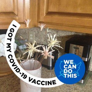 Meet your Posher, Phillip